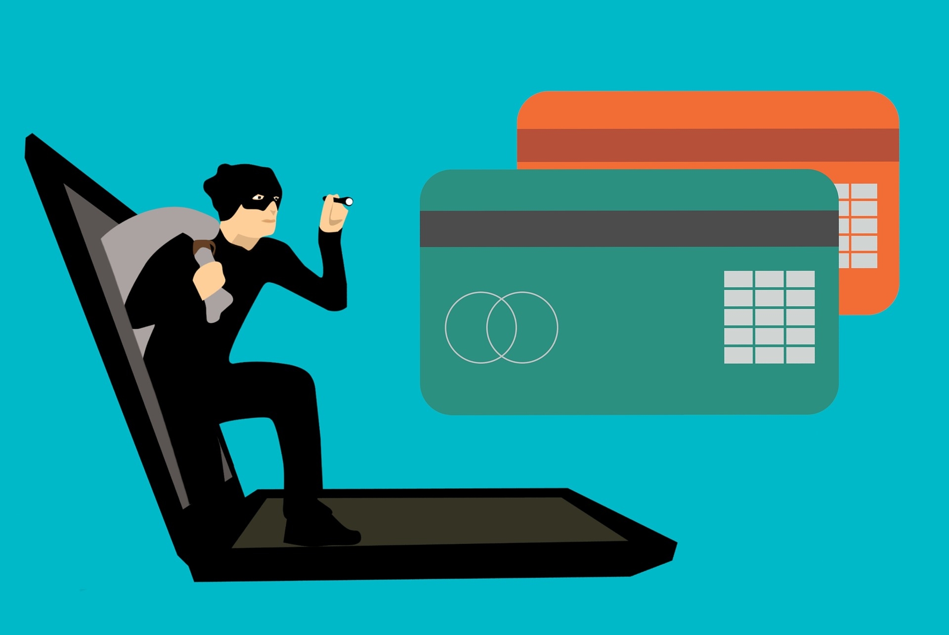 Bust-Out Credit Card Fraud: Definition and Impact